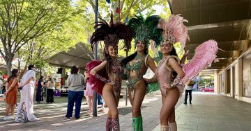 堪培拉国家多元文化节本周末盛大回归