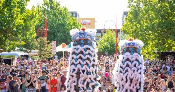 米酿啤酒亮相，为堪培拉春节活动庆典增添新风味