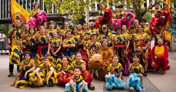 一份乡愁化为舞狮动力，堪培拉最大春节舞狮团队背后的故事